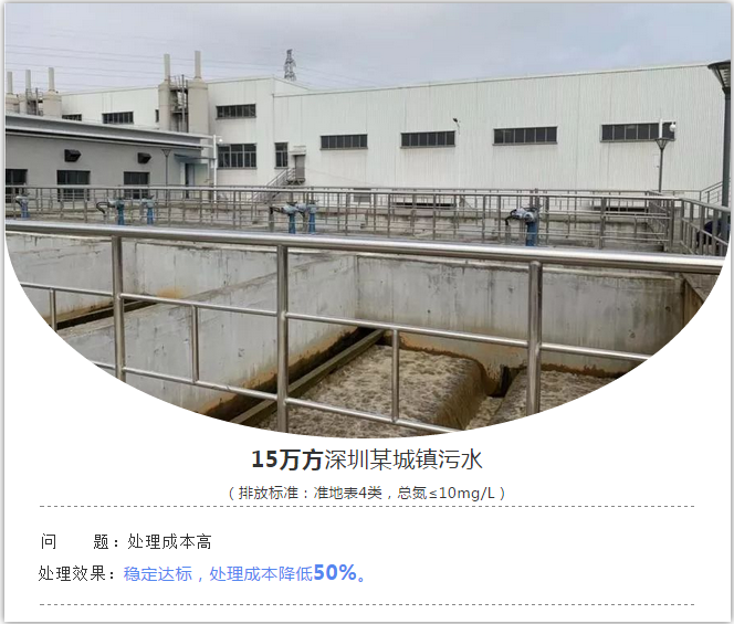 市政污水总氮降解案例1