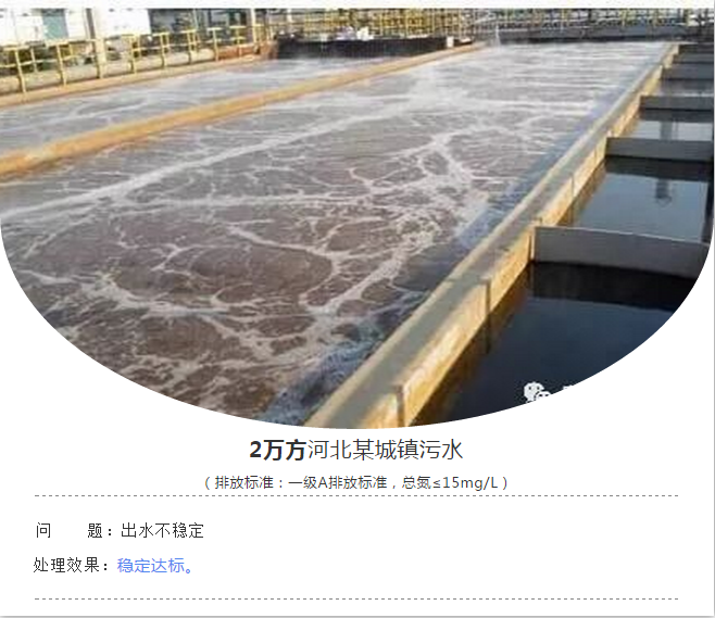 市政污水总氮降解案例3