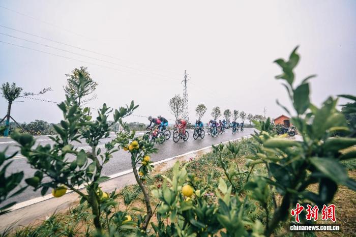 2025环漳河国际公路自行车赛圆满收官 千人参与创